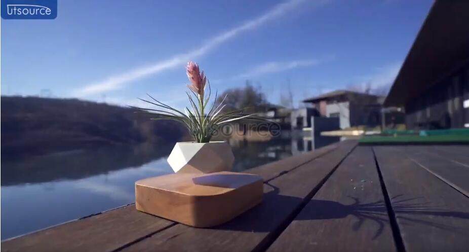 How a green potted plant floating in the air