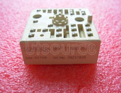 SKIIP11NAB063T23