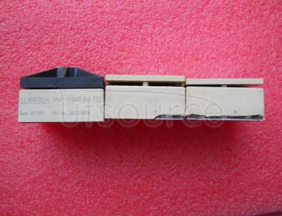 SKIIP11NAB063T23