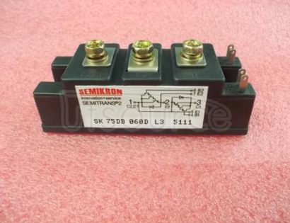 SK75DB060DL3 