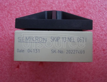 SKIIP13NEL063I