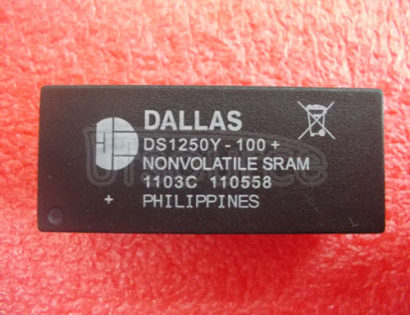 DS1250Y-100