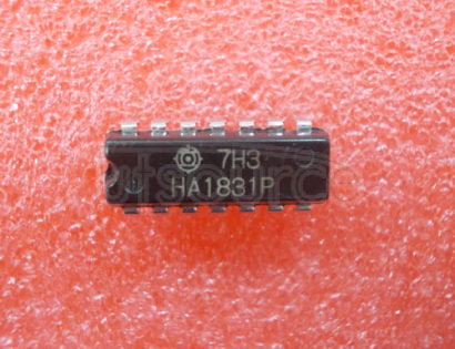 HA1831P Watchdog   Timer