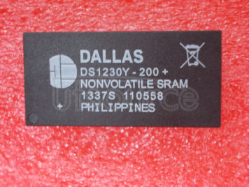 DS1230Y-200