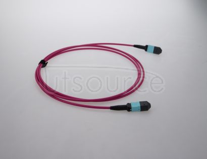 10m (33ft) MTP Female to MTP Female 12 Fibers OM4 50/125 Multimode Trunk Cable, Type B, LSZH, Magenta