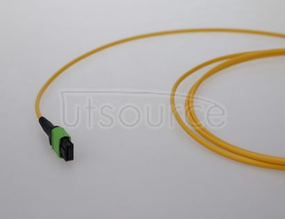 15m (49ft) MTP Female to MTP Female 12 Fibers OS2 9/125 Single Mode Trunk Cable, Type B, Elite, LSZH, Yellow