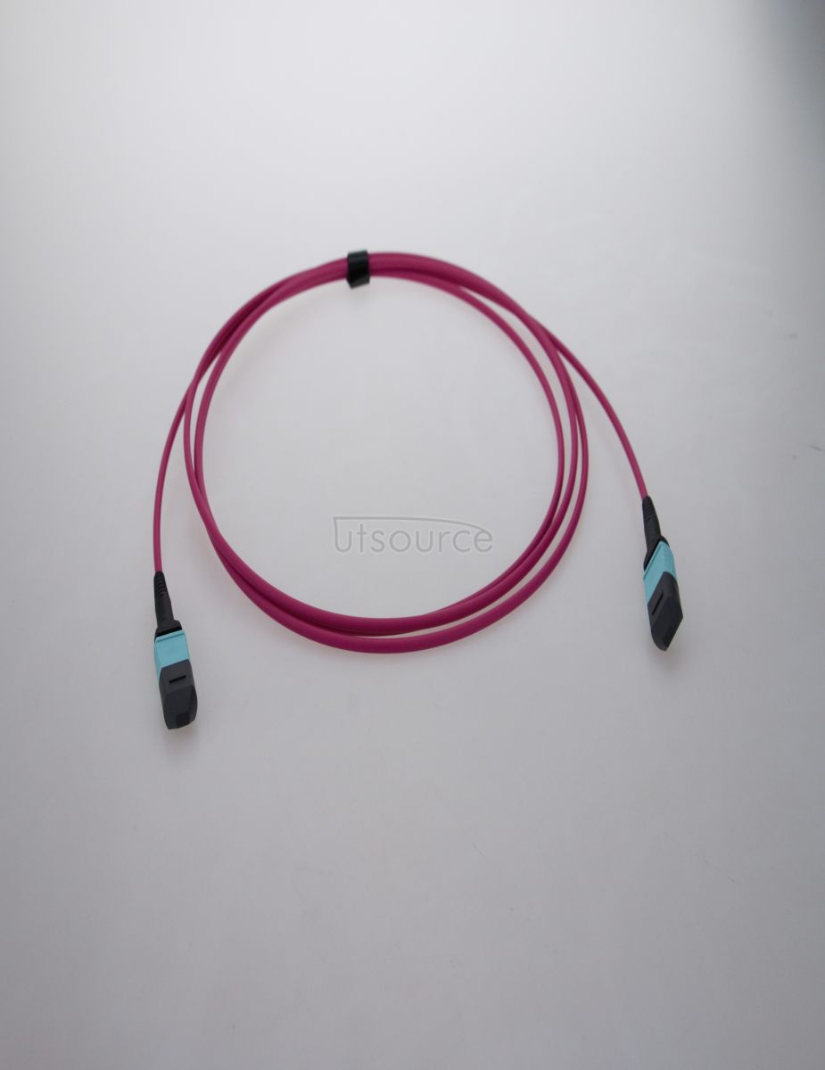 1m (3ft) MTP Female to Female 12 Fibers OM4 50/125 Multimode Trunk Cable, Type A, Elite, Plenum (OFNP), Magenta