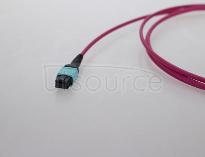 5m (16ft) MTP Female to MTP Female 12 Fibers OM4 50/125 Multimode HD Trunk Cable, Type B, LSZH, Magenta