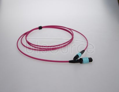 2m (7ft) MTP Female to MTP Female 12 Fibers OM4 50/125 Multimode HD Trunk Cable, Type B, LSZH, Magenta