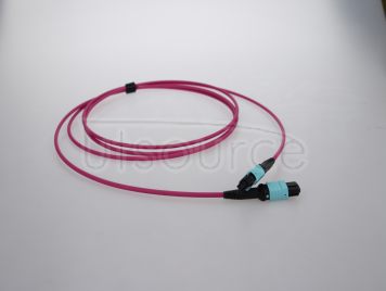 5m (16ft) MTP Female to MTP Female 12 Fibers OM4 50/125 Multimode Trunk Cable, Type B, LSZH, Magenta