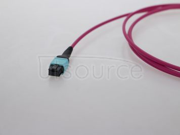5m (16ft) MTP Female to MTP Female 12 Fibers OM4 50/125 Multimode HD Trunk Cable, Type A, LSZH, Magenta