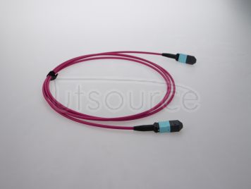 5m (16ft) MTP Female to Female 12 Fibers OM4 50/125 Multimode Trunk Cable, Type A, Elite, Plenum (OFNP), Magenta