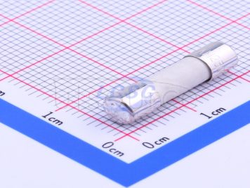 0216.100MXP(5pcs)