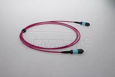 1m (3ft) MTP Female to Female 12 Fibers OM4 50/125 Multimode Trunk Cable, Type B, Elite, Plenum (OFNP), Magenta