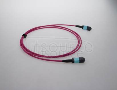 3m (10ft) MTP Female to Female 12 Fibers OM4 50/125 Multimode Trunk Cable, Type A, Elite, Plenum (OFNP), Magenta