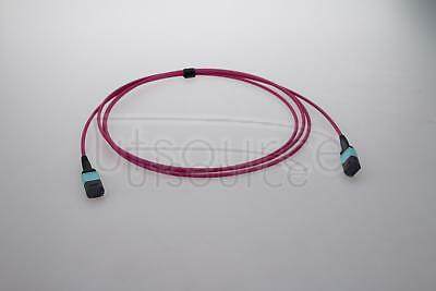 1m (3ft) MTP Female to Female 12 Fibers OM4 50/125 Multimode Trunk Cable, Type B, Elite, Plenum (OFNP), Magenta The MTP Trunk Cable is designed for 40G QSFP+ SR4, 40G QSFP+ CSR4 and 100G QSFP28 SR4 optics direct connection and high-density data center applications<br/> The US Conec MTP connectors are fully compliant with the MPO standards. 1m (3ft) MTP Female to Female 12 Fibers OM4 50/125 Multimode Trunk Cable, Type B, Elite, Plenum (OFNP), Magenta The MTP Trunk Cable is designed for 40G QSFP+ SR4, 40G QSFP+ CSR4 and 100G QSFP28 SR4 optics direct connection and high-density data center applications<br/> The US Conec MTP connectors are fully compliant with the MPO standards.