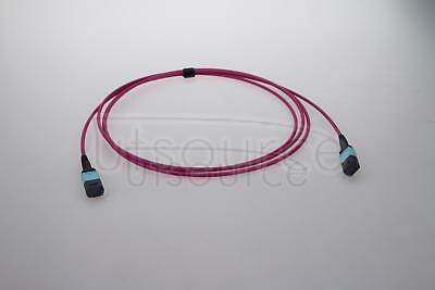 1m (3ft) MTP Female to Female 12 Fibers OM4 50/125 Multimode Trunk Cable, Type B, Elite, Plenum (OFNP), Magenta