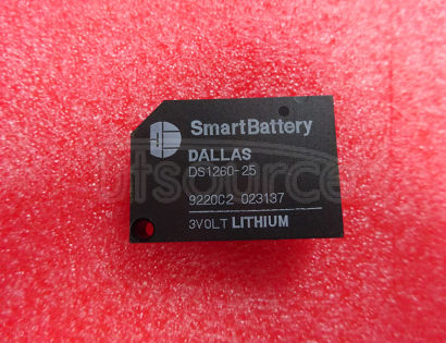 DS1260-25 Battery Manager Chip