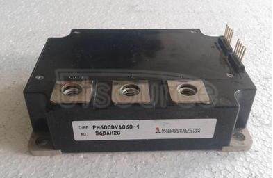 PM600DVA060-1