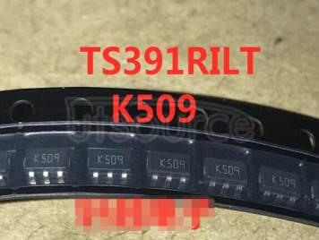 TS391RILT