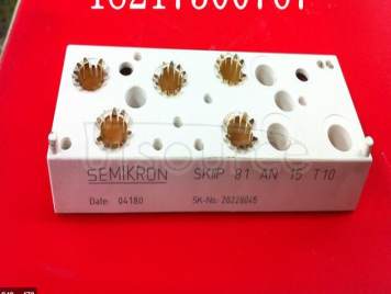 SKIIP81AN15