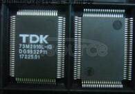 TDK73M2910L-IG
