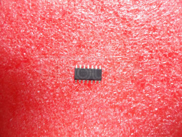 MAX504CSD