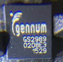 GS2989-INE3