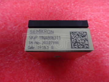 SKIIP11NAB063T1
