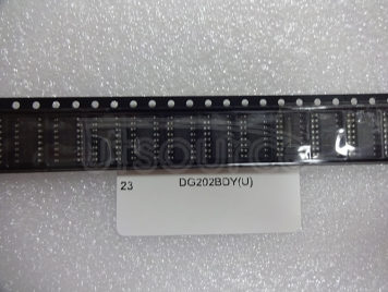 DG202BDY