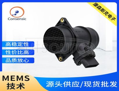 CAFS1000A Automobile Gas Flow Meters