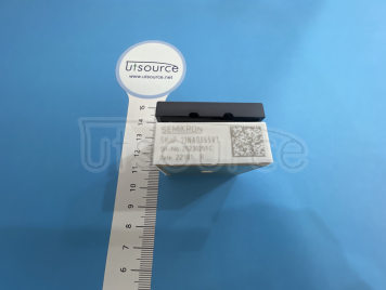 SKIIP13NAB065V1