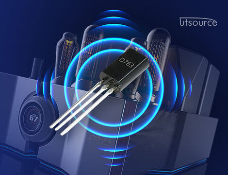 DIY Electronic Project Using the D763