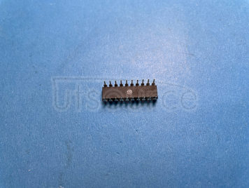 MAX275BCPP